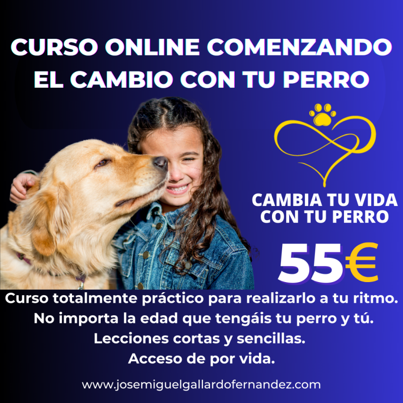 CURSO COMENZANDO EL CAMBIO CON MI PERRO